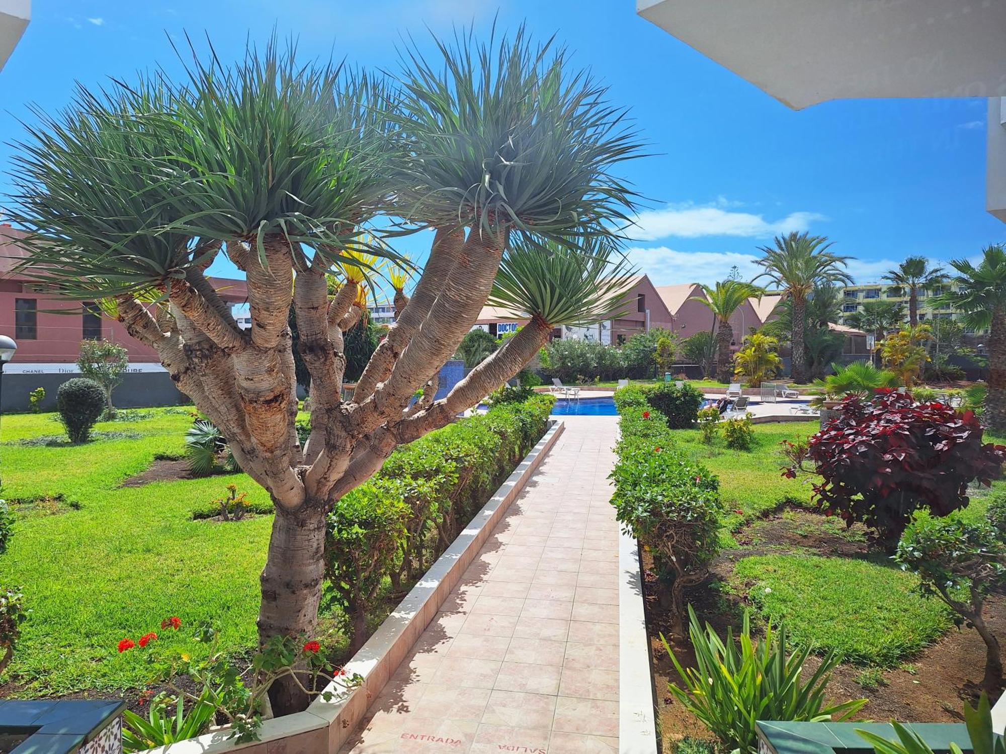Stylish 2-Bedroom Apartment Yumbo Maspalomas  Buitenkant foto